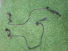 Mercedes-benz R129 Sl Abs Wheel Speed Sensors Wiring Looms Pair 126450828 Used. Price: $126.49.