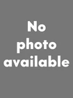 New! Mercedes E350 Ferodo America Front Disc Brake Pad Set FDB1414 0044207920. Price: $45.00.